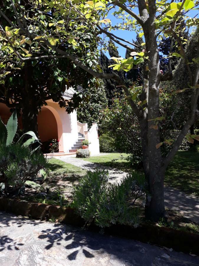 Villa Emma I Lecci Quiesa Bagian luar foto